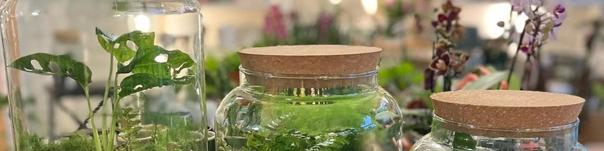 420171733 7029664947114159 6022704465697065029 N