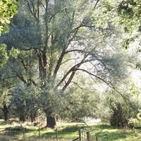 Photo 22 08 2023, 02 42 44