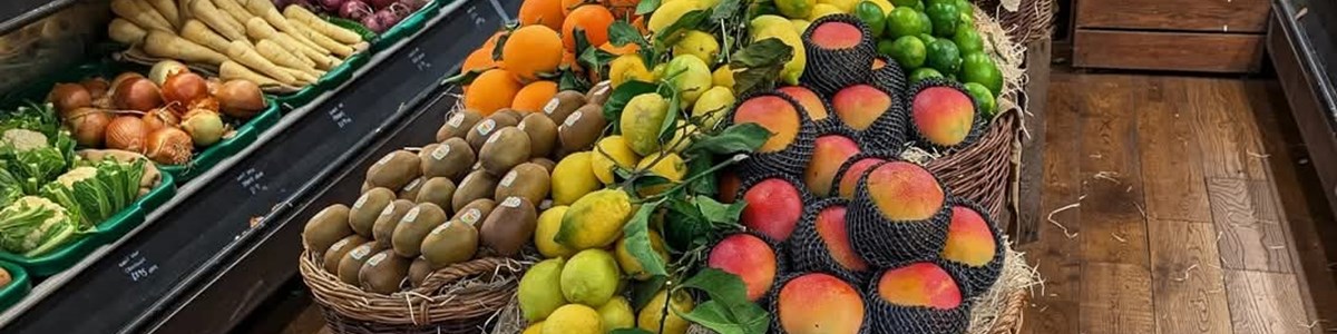 Whatsapp Image 2025 01 14 At 16.55.13