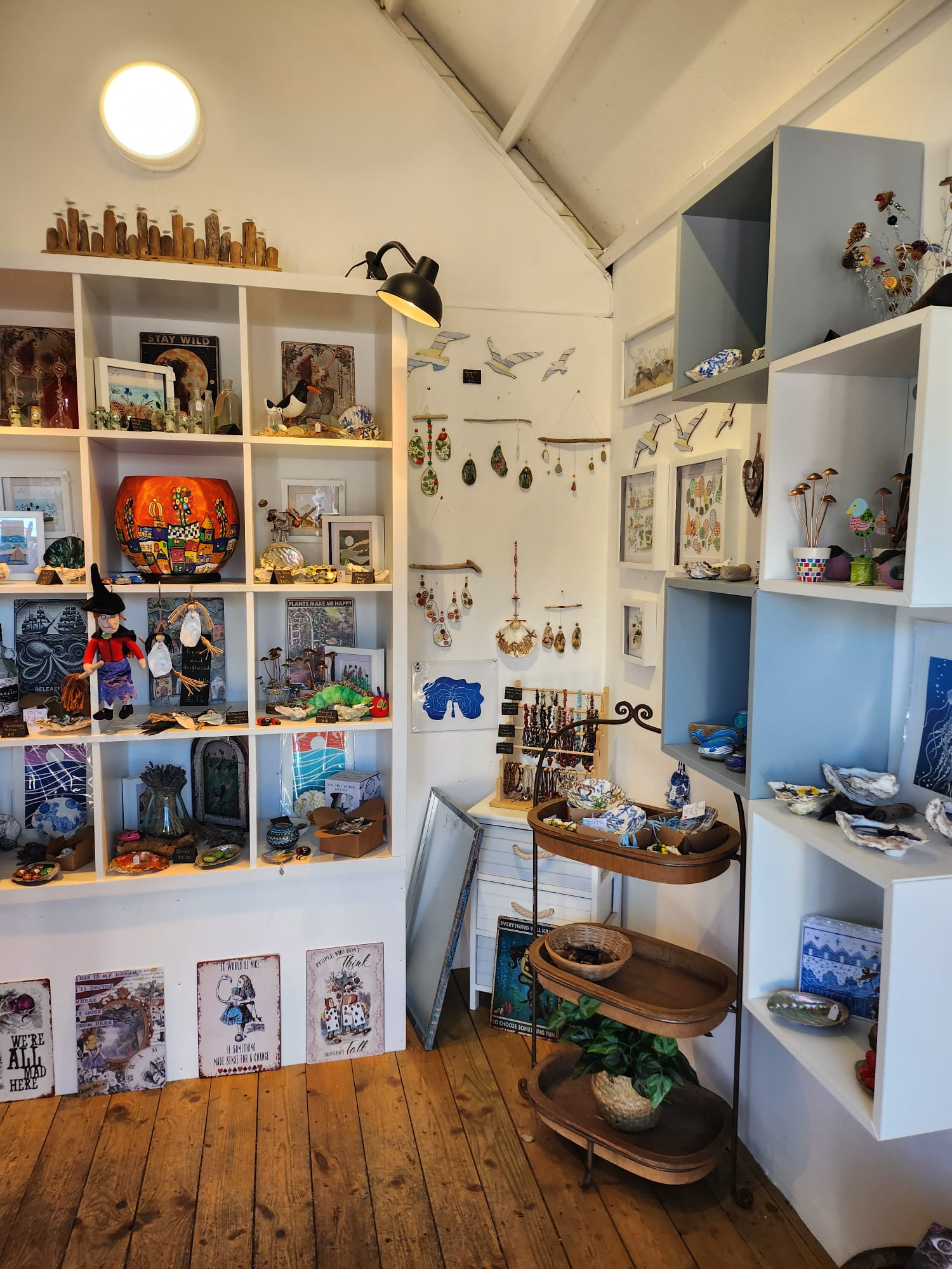 42 Adrift Beach Magpie