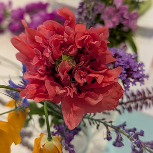 523e1b40-8a94-4768-9784-791b0721f912-pressed flower cards workshop canterbury (1).png