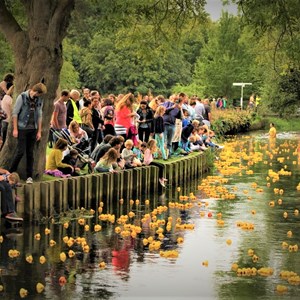 Duck Race