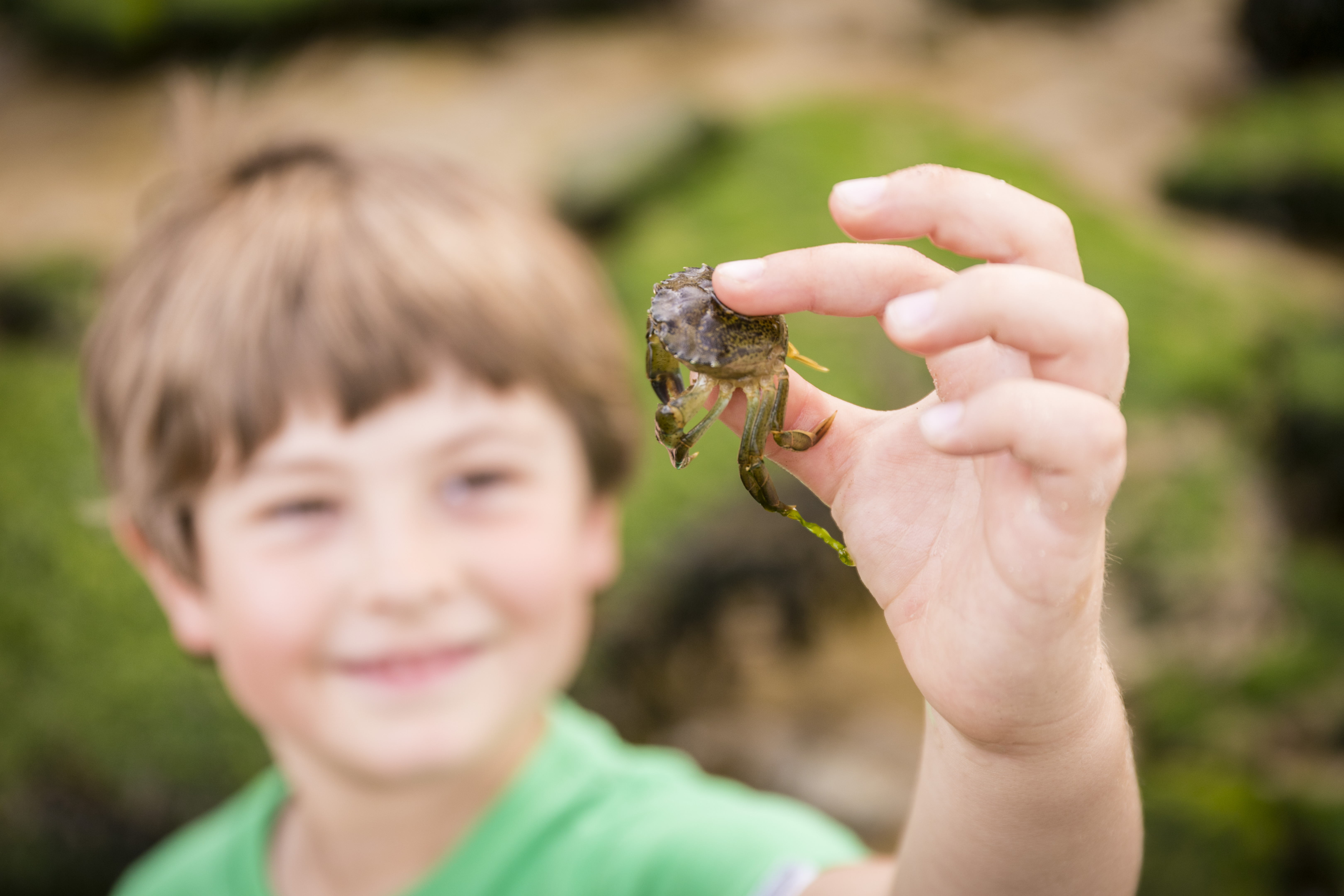 Reculver Beach C.Alex Hare (8)