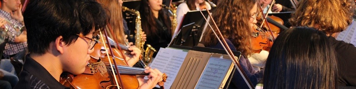 8f6b0148-98f7-4639-887f-9dad9f7b2bc6-youth orch-web-1100-x-600.jpg