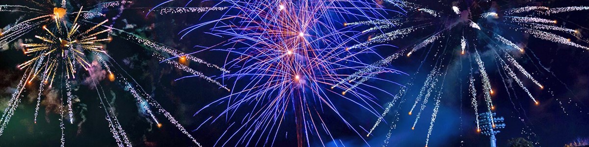 47abbb83-5768-4693-a207-55897bfcd10f-2025 Fireworks.jpg