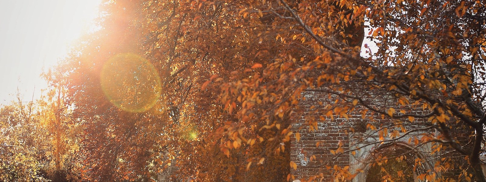 Photo 08 04 2024, 18 29 24 (1)