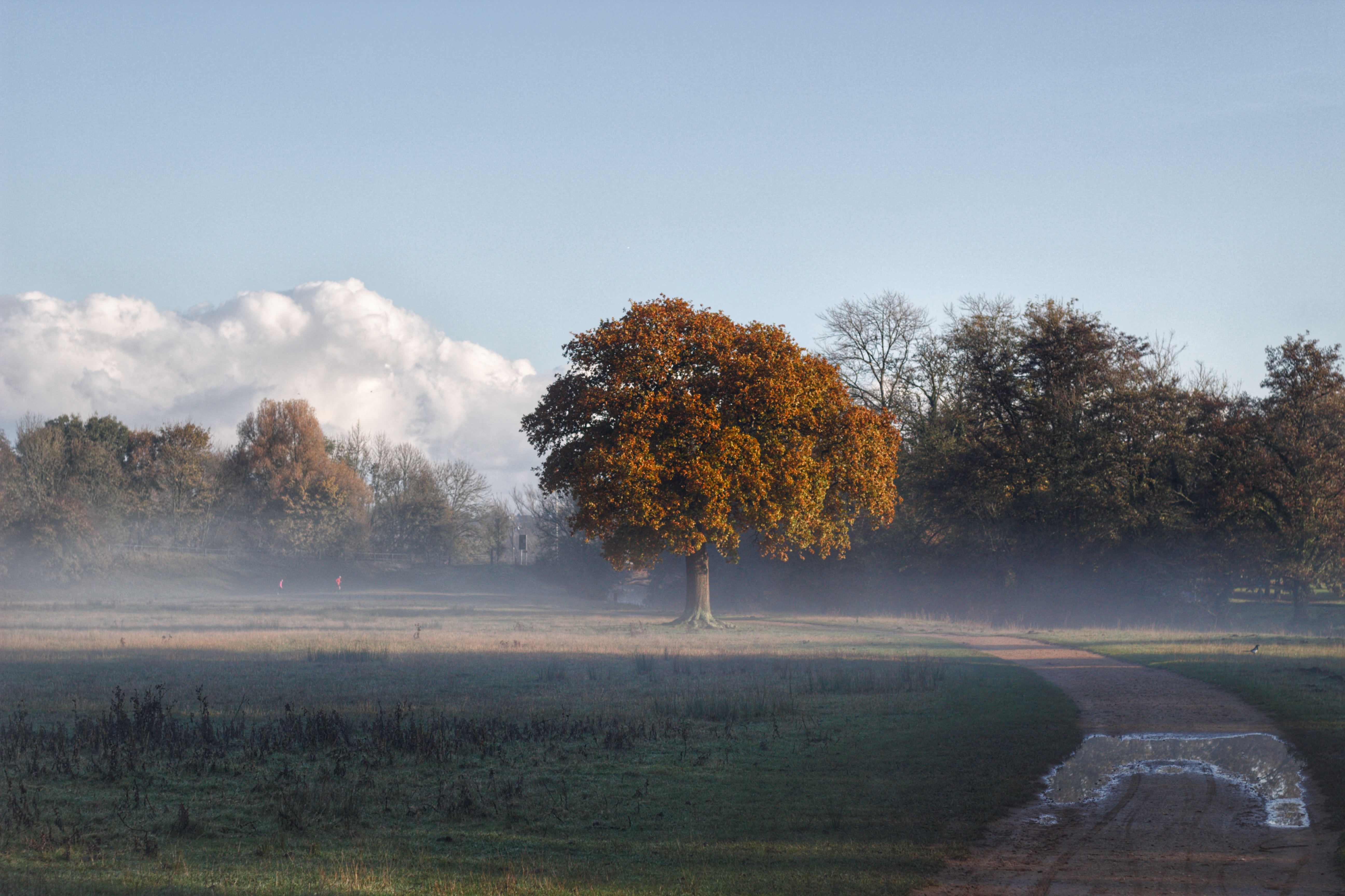 Photo 10 11 2019, 10 15 20 (2) (1)