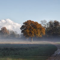 Photo 10 11 2019, 10 15 20 (2) (1)