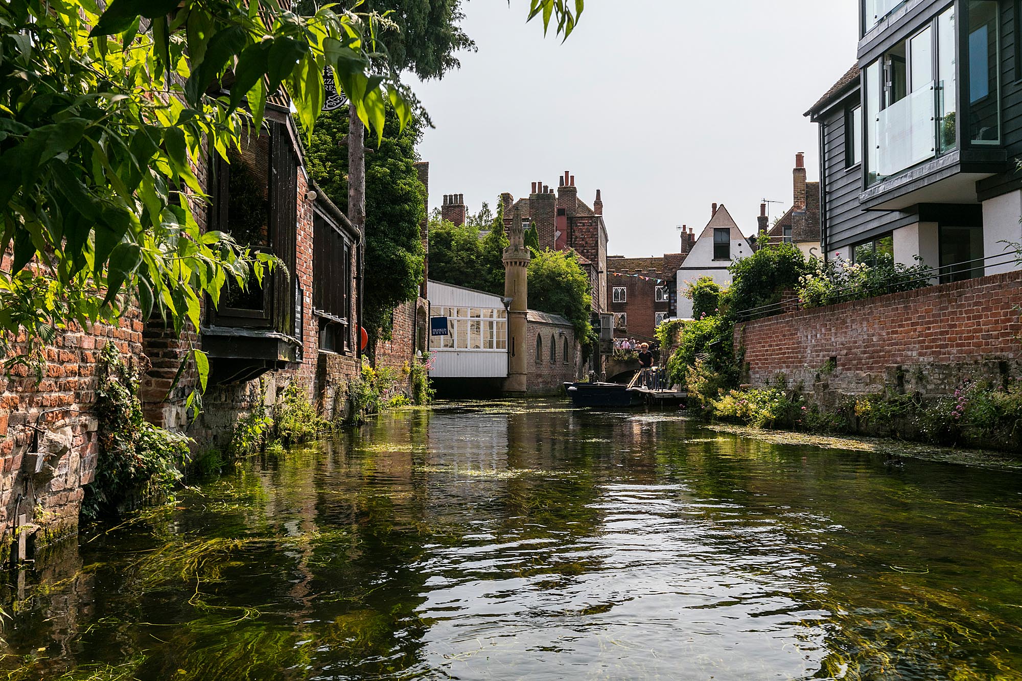 Visit Canterbury Alex Hare
