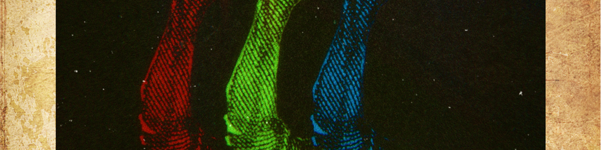 13088d4d-22dd-4c6c-82ae-d20fcf417cab-Titus flyer.png