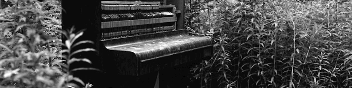 6945a5dc-44c4-4e2a-9740-ab367efd912a-Piano in Wood Promo Image (Ben selection).png