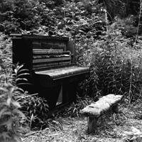4ab13e9b-d068-4be8-9970-0b824e16ebaf-Piano in Wood Promo Image (Ben selection).png