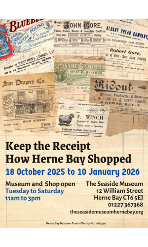 4e6bfb3e-2612-4d57-bec6-ea414595d3a5-Untitled design (18).png