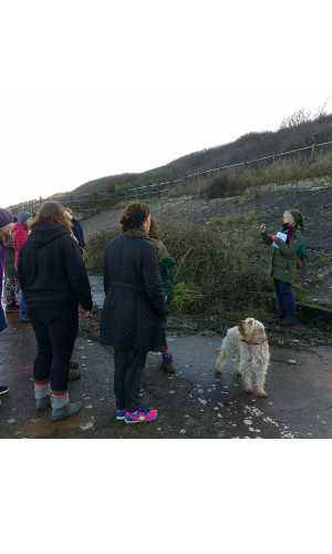 58dc413f-b8f9-4ee8-a55f-35692e45fab1-Untitled design (22).png