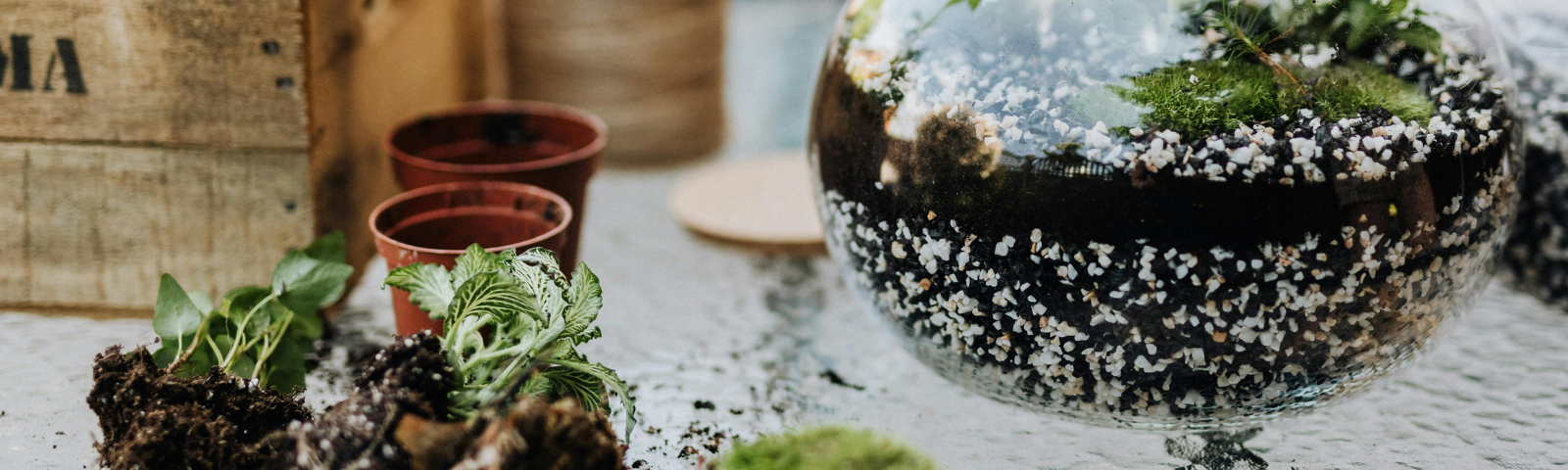 26d8f36a-2ea9-47c7-9c6e-16768e3a23ea-Visit Canterbury banner (2).png