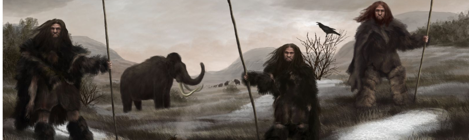 826ae414-bcd1-4614-afef-8a33e803d811-Untitled design (30).png