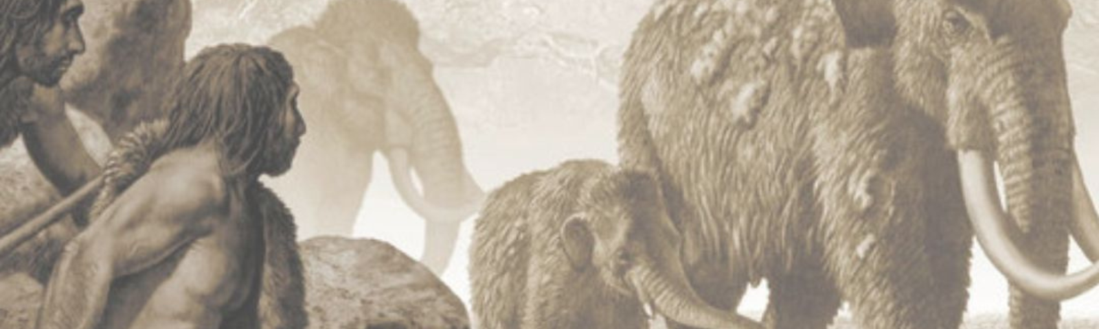 8756c8e5-8b5a-4203-82d9-14b404db32a2-Untitled design (31).png