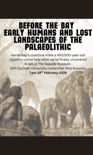 cd649fc2-0d9c-46d8-9c7c-b5187a64635c-Untitled design (33).png