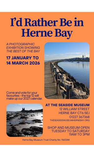 5e25de7d-11ab-4996-a901-9590daa775ec-Untitled design (35).png