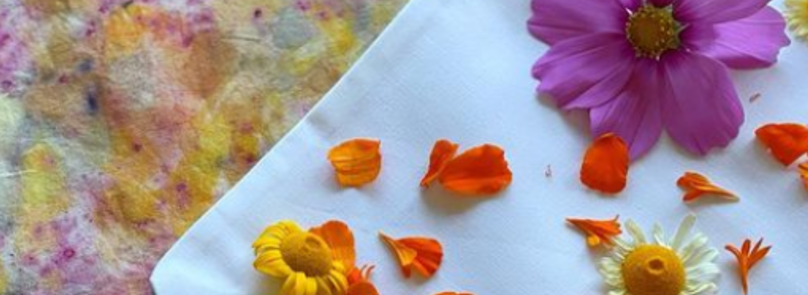 c9eb2acb-6d83-4b38-8e75-aaaac164d4da-Dyeing with flowers workshop Tara Macdonald canterbury craft creative class.png