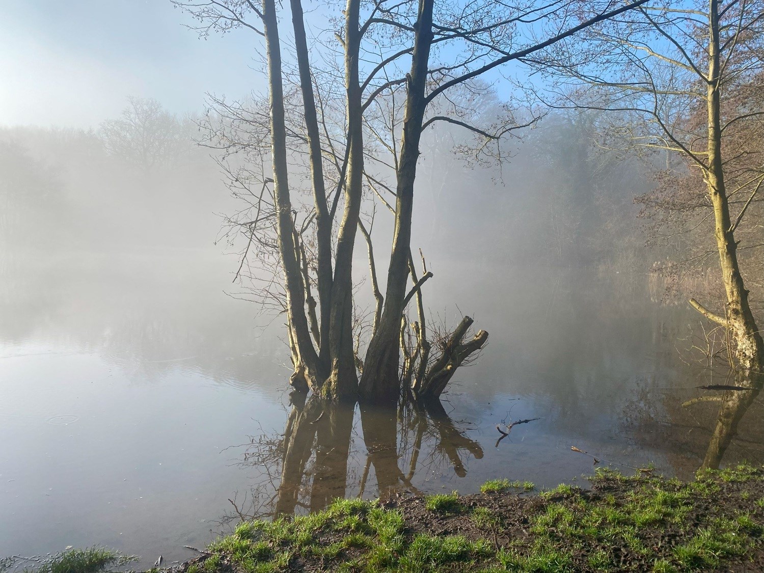 0563fd4a-ed31-4514-b50a-017bbefb90b2-Reed Pond web.jpg