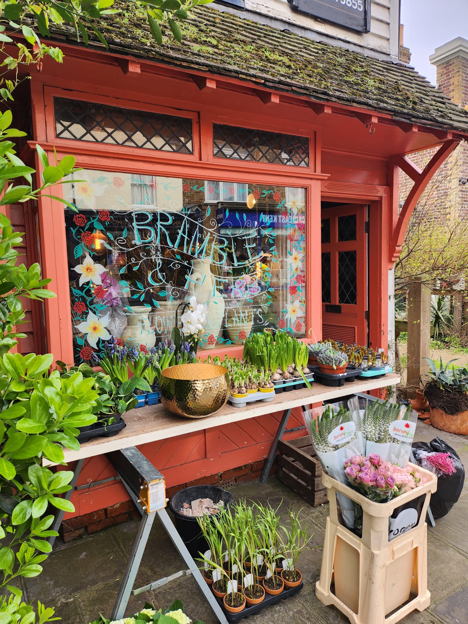 Whatsapp Image 2026 03 17 At 10.27.28