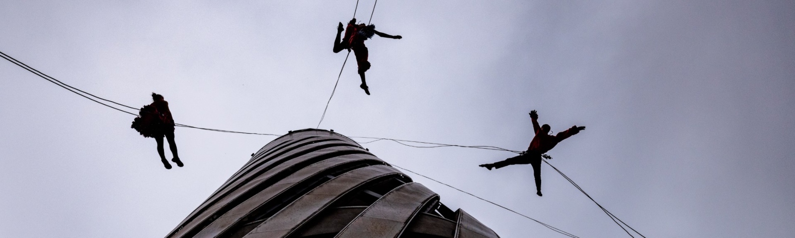 Scarabeus Image Credit Mark Morreau 1600X480