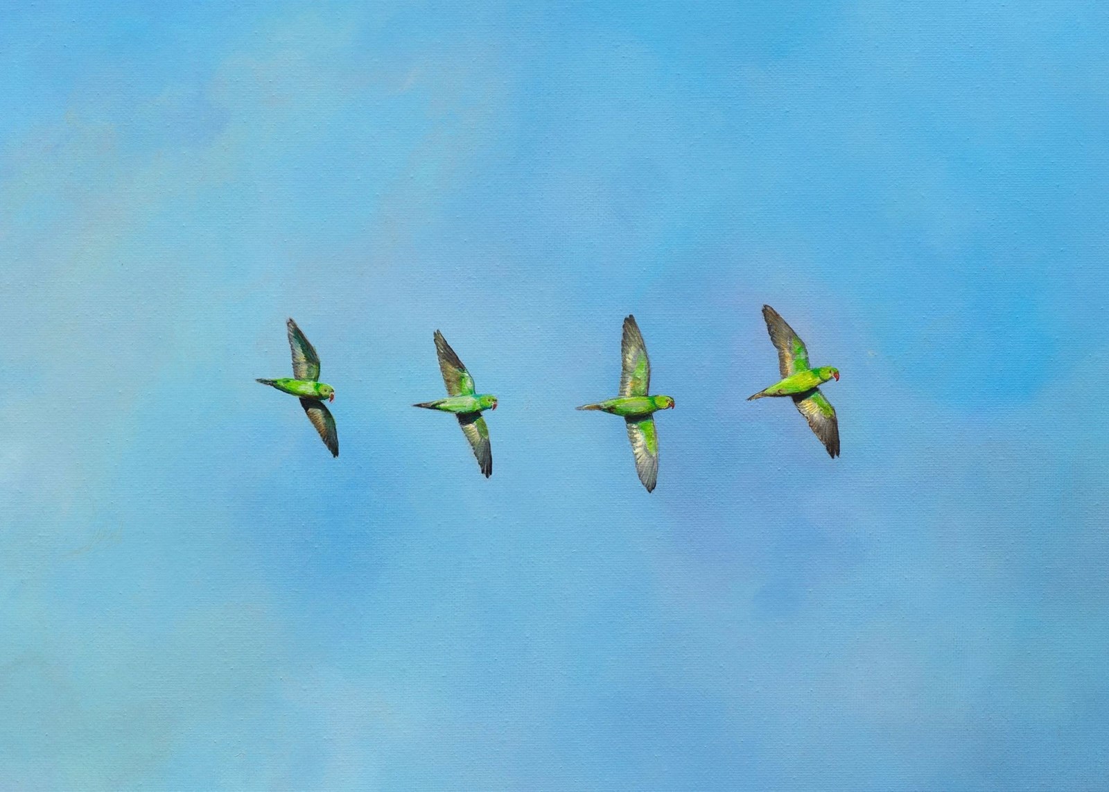 97e5a58a-ea2f-4bcb-8c8f-7b82f4b159d7-steph-cork-green-parakeets-blue-sky-painting.jpg