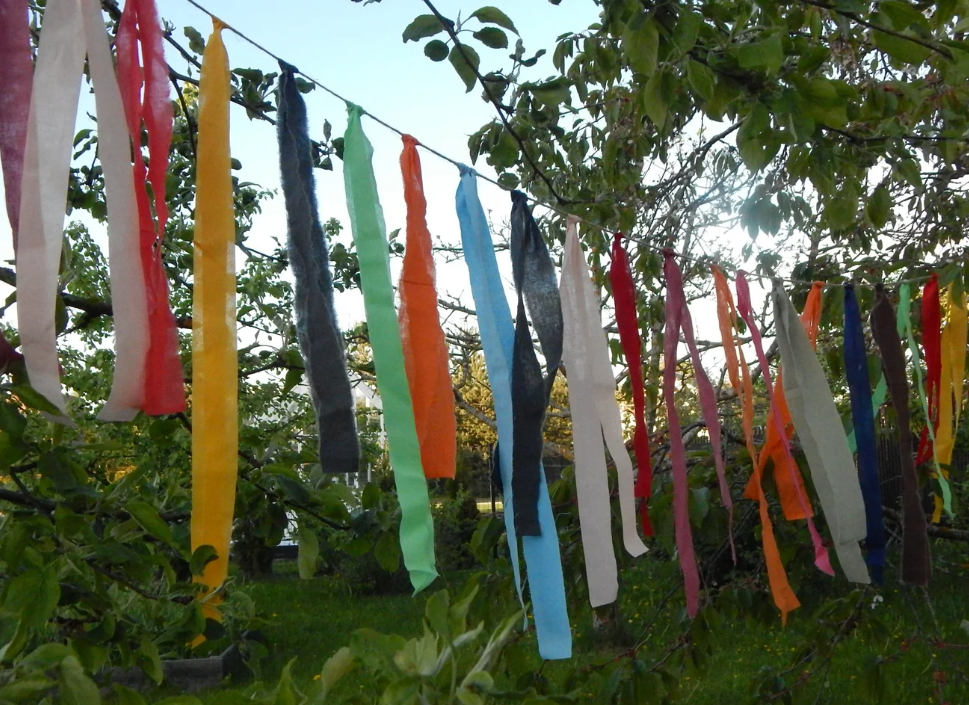 Bunting Image