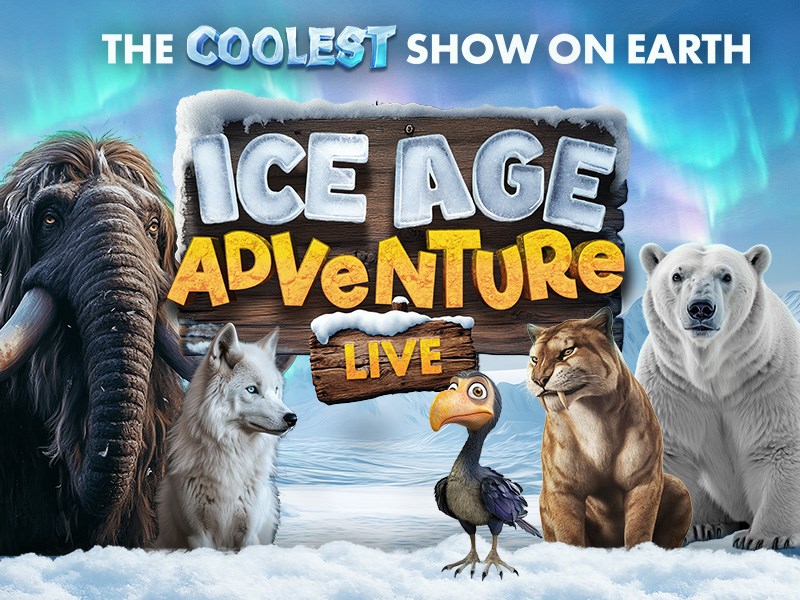 87c8ae35-c987-4f15-beaf-daaa1f1f17bf-ICE AGE 800x600.jpg