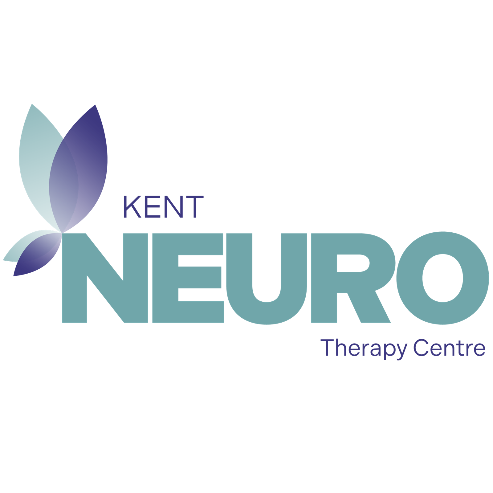 e9f24f5c-3cd3-4acf-941b-71108ed4f625-300PPI-OR-SITELOGO-Kent Neuro-512X512.png