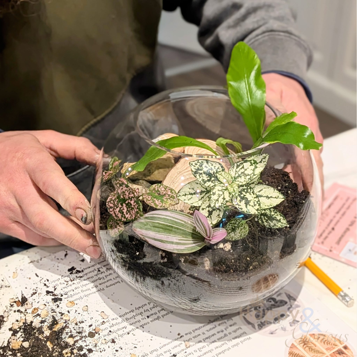 8e87e09f-7c86-4137-9fa4-ff1fdda744c9-terrarium craft houseplant plant  workshop Canterbury (2).png