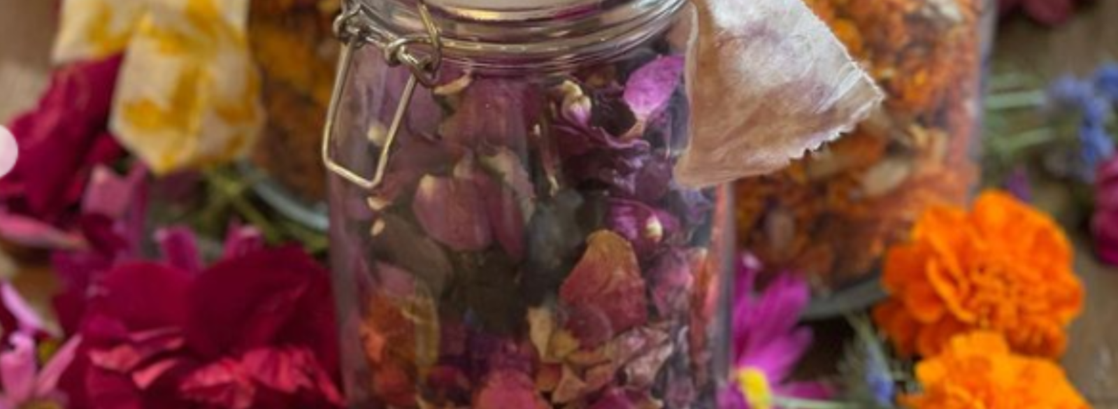 1eb0cb9b-29b5-47d0-b802-783e28c17d3a-Canterbury dyeing with flowers workshop.png