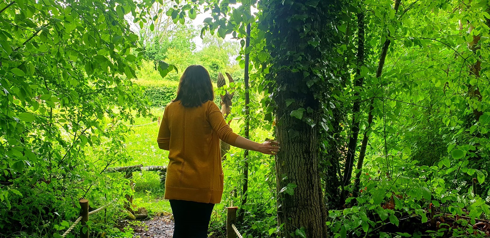 4483dea0-8fbc-4ec9-9976-0e5af140d488-Nature walking.jpeg