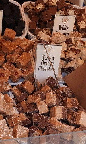 5a44f84e-0087-4351-bebc-fa3d7a4cff4e-Fudge Portrait.jpeg