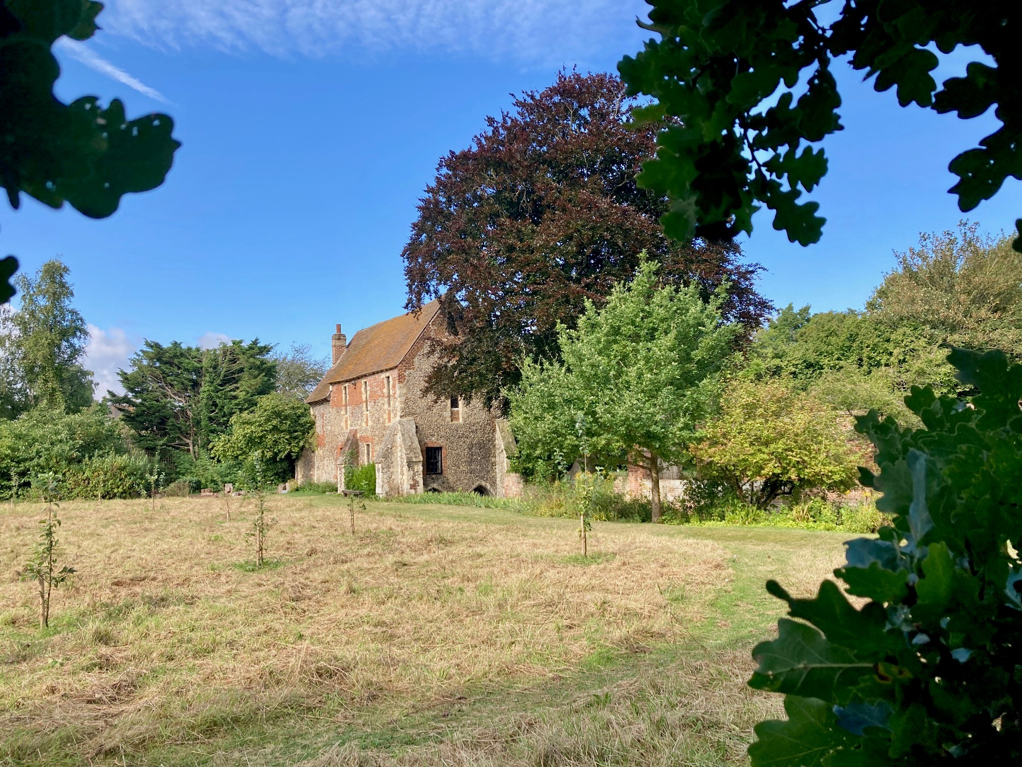 Fransican Gardens