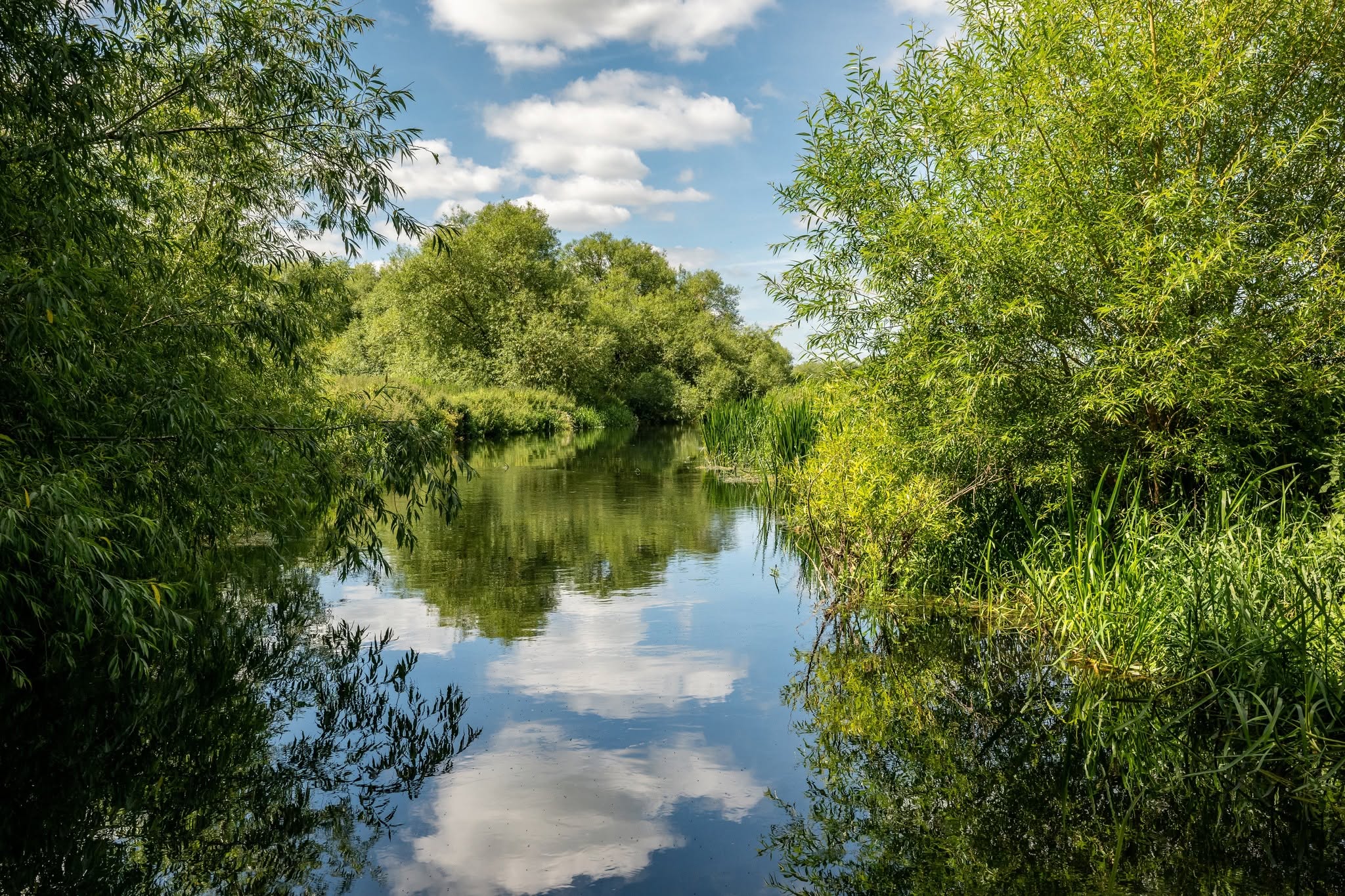 River Stour
