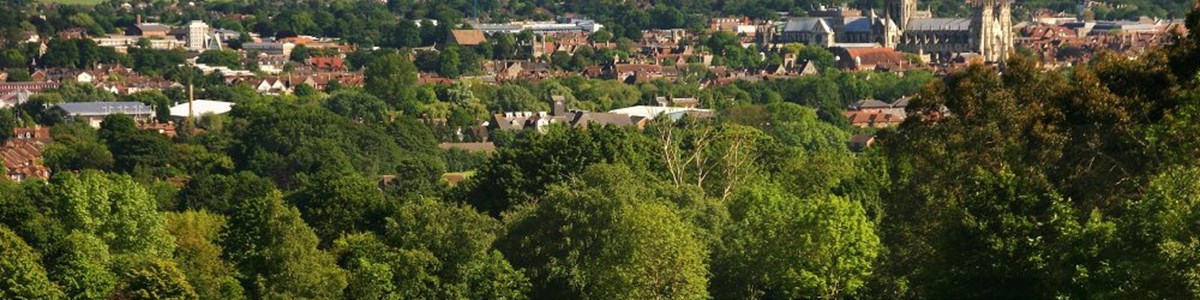 university-of-kent---main-done-.jpg