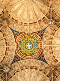 Cathedral Ceiling