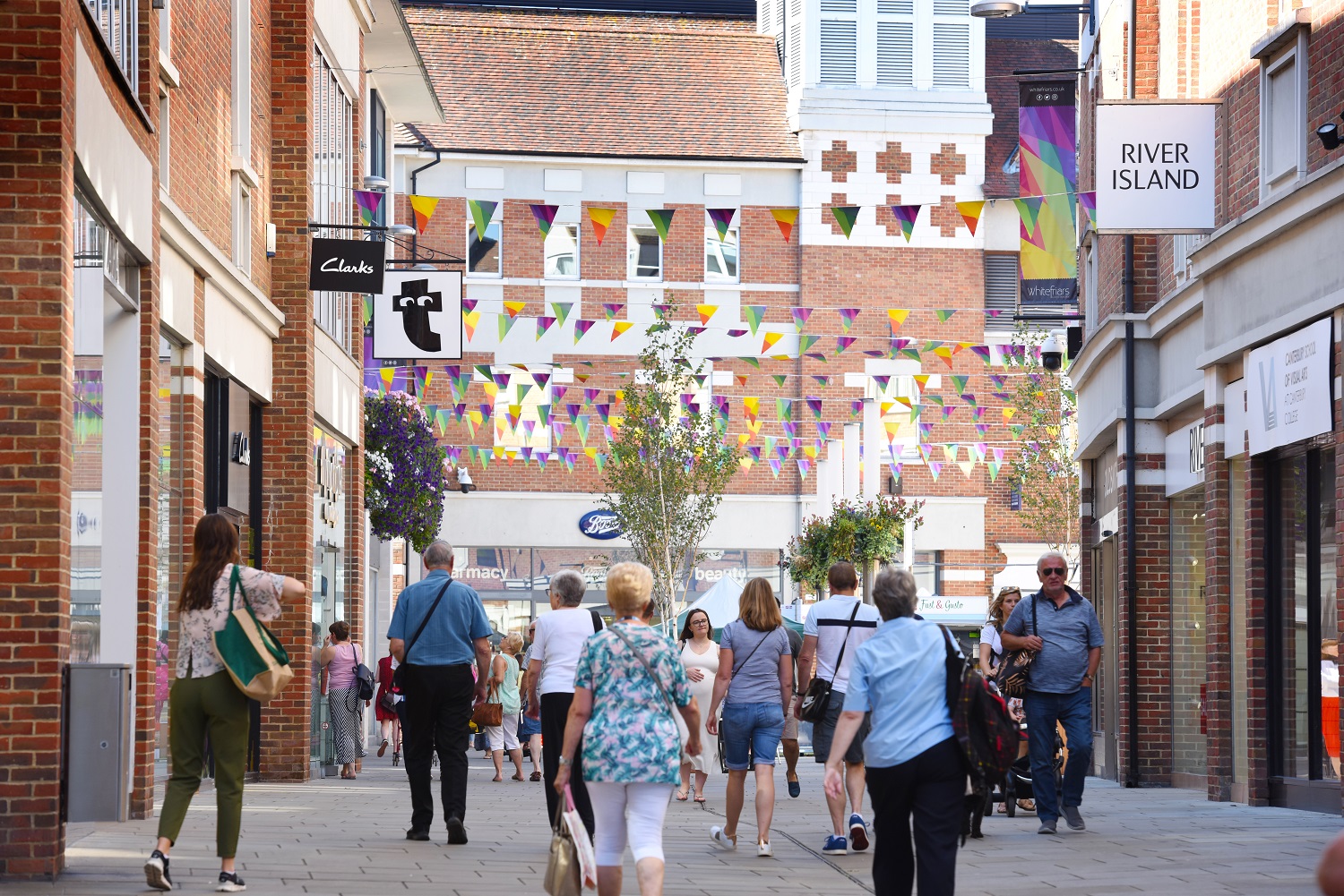 C. David King Photographer (17) Smaller