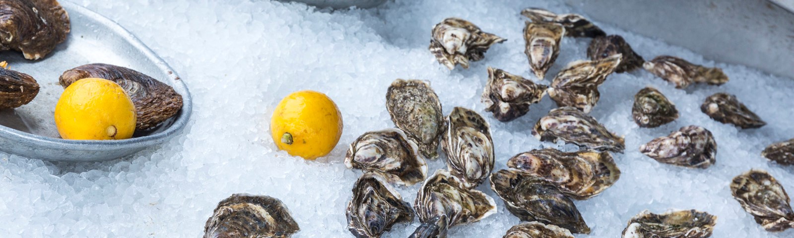 Whitstable Shopping (2)