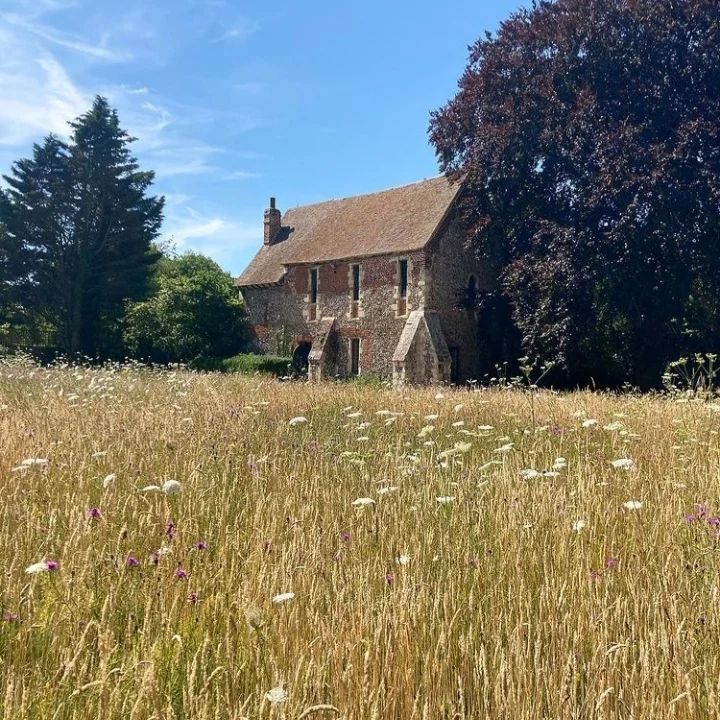 Franciscan Gardens Meadow