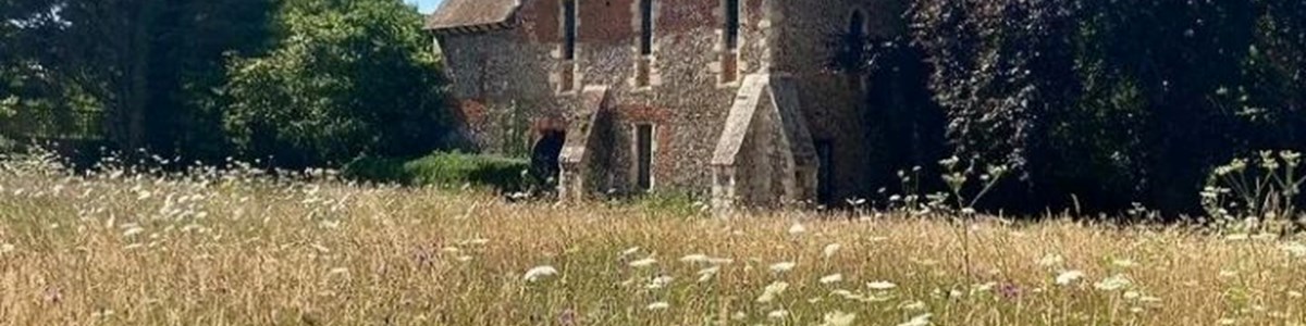 Franciscan Gardens Meadow