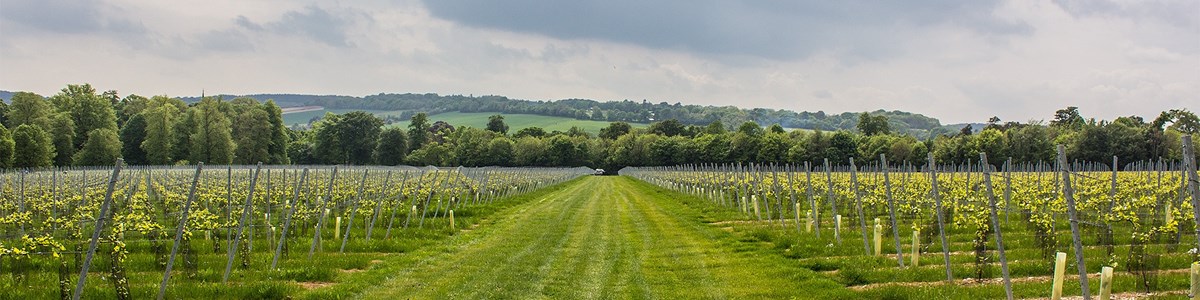 Simpsonsestate Banner