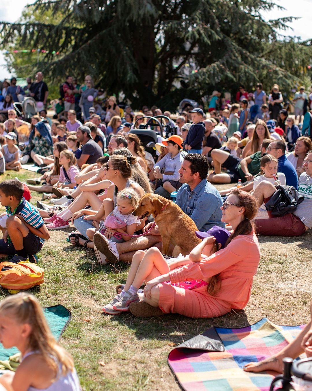 343054189 617759696564121 4282633102436061723 N